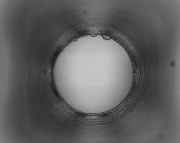 X0000102460557200808080947