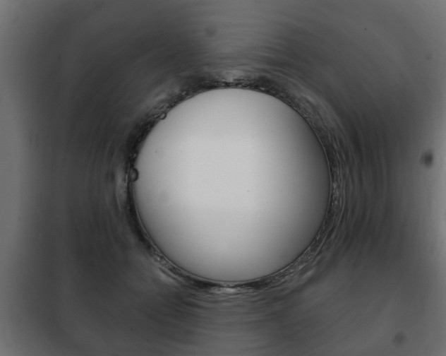 X0000102460558200808080947