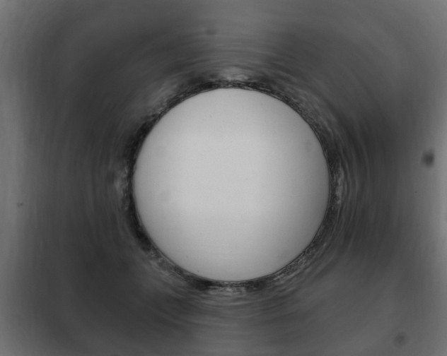 X0000102460559200808080947
