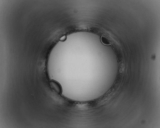 X0000102460560200808080947