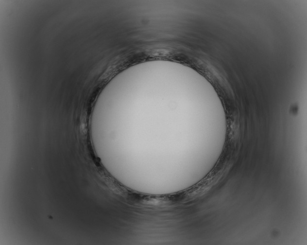 X0000102460561200808080947