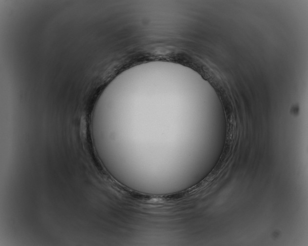 X0000102460562200808080947