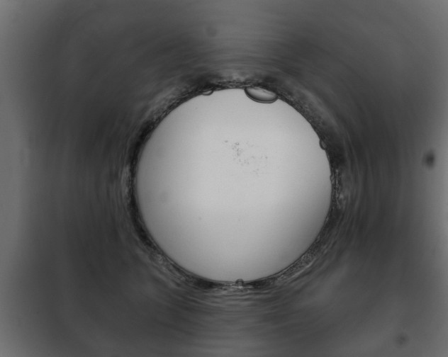 X0000102460563200808080947