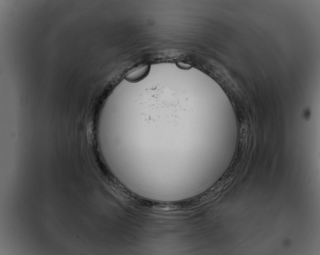 X0000102460564200808080947