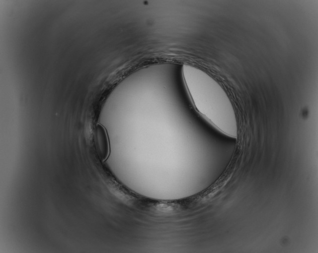 X0000102460566200808080947