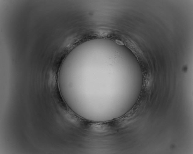 X0000102460568200808080947