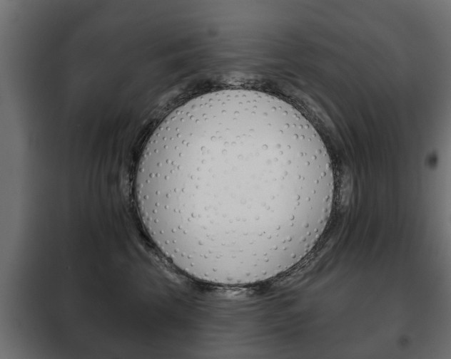 X0000102460569200808080947