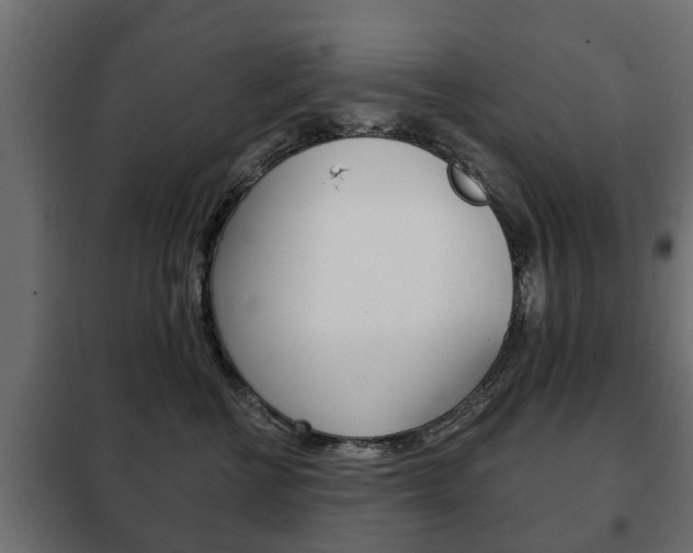 X0000102460570200808080947