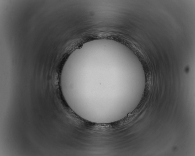 X0000102460571200808080947