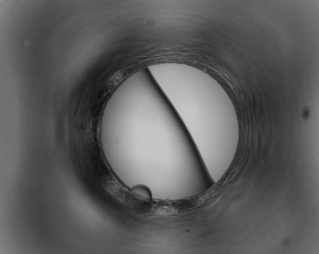 X0000102460572200808080947