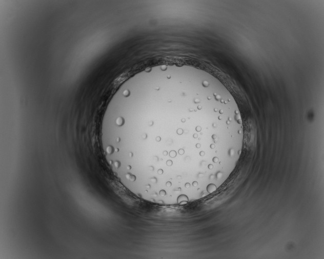 X0000102460573200808080947