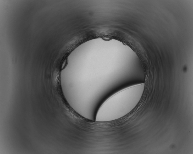 X0000102460574200808080947