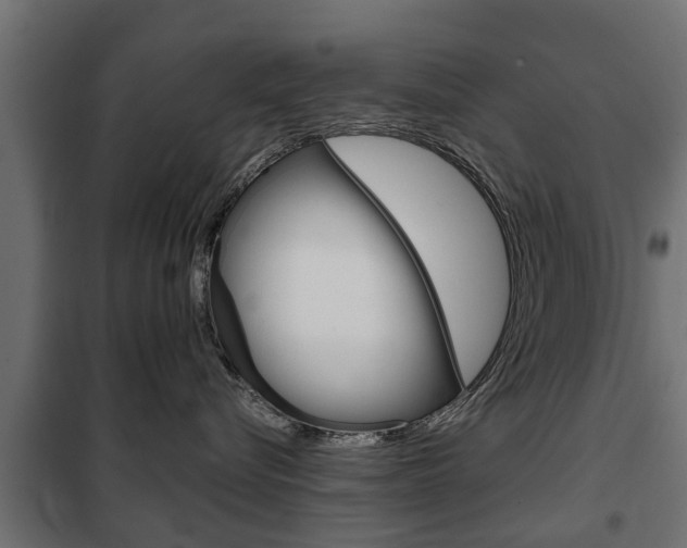 X0000102460576200808080947