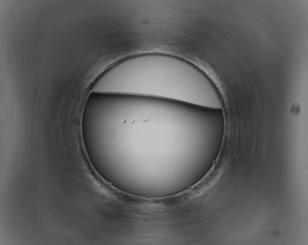 X0000102460577200808080947