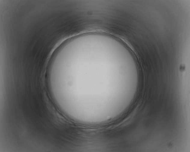 X0000102460579200808080947