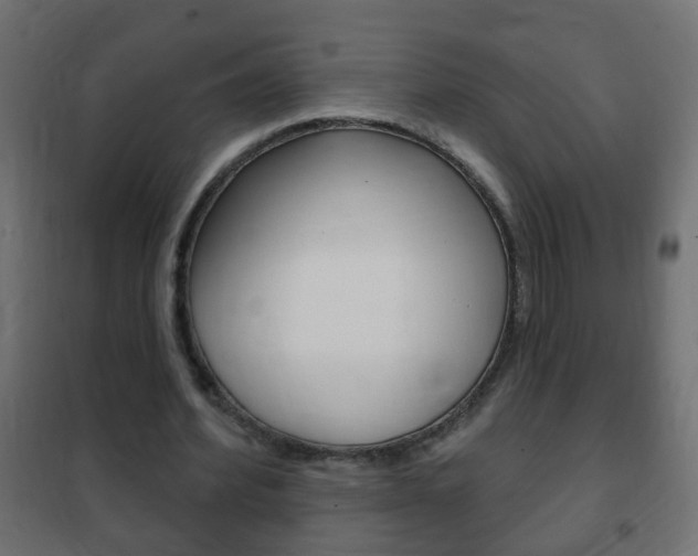 X0000102460580200808080947
