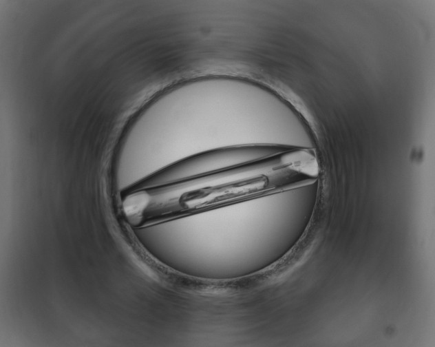 X0000102460581200808080947