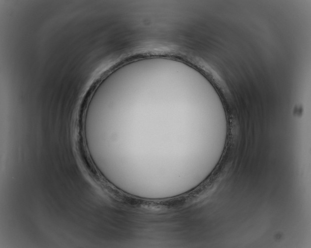 X0000102460582200808080947