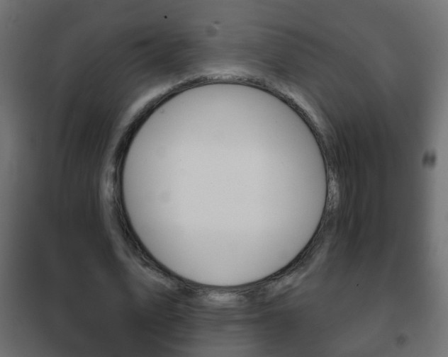 X0000102460583200808080947