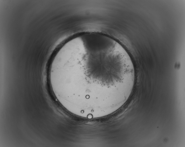 X0000102460584200808080947