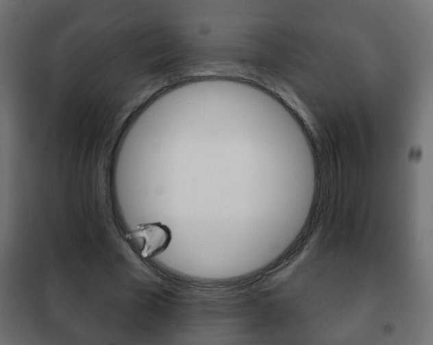 X0000102460585200808080947