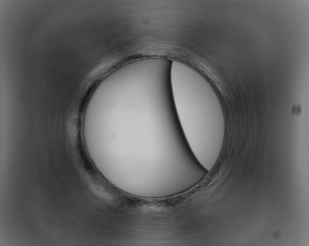 X0000102460586200808080947