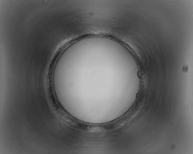 X0000102460587200808080947