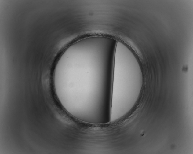 X0000102460588200808080947