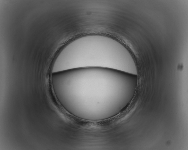 X0000102460589200808080947