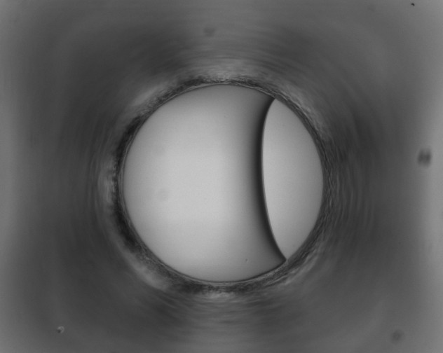 X0000102460590200808080947