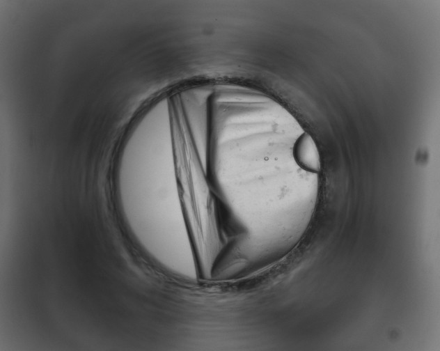 X0000102460592200808080947