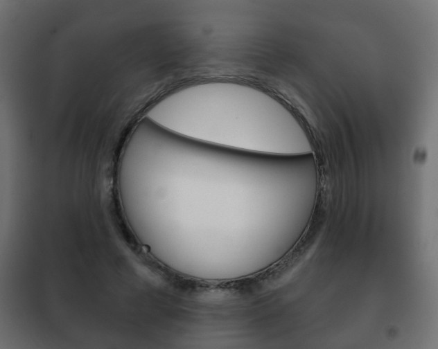 X0000102460593200808080947