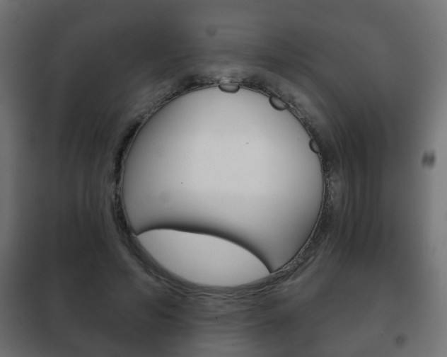 X0000102460594200808080947
