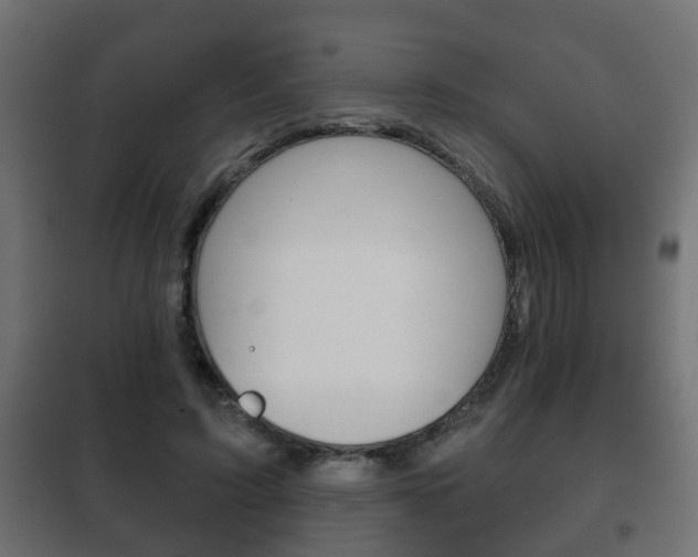 X0000102460595200808080947