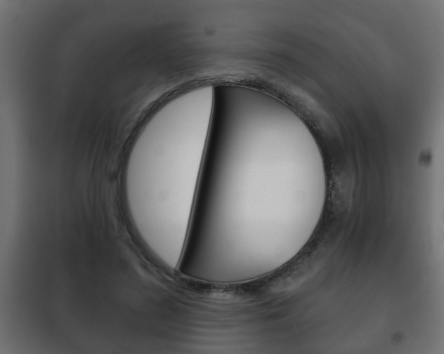 X0000102460596200808080946