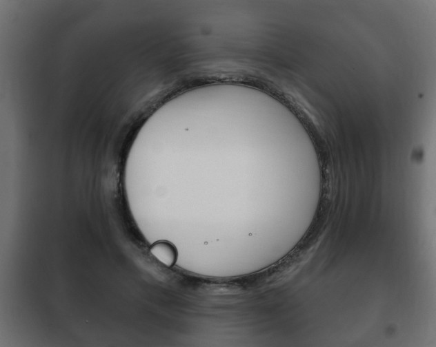 X0000102460597200808080946