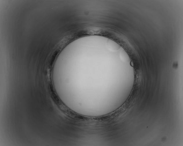 X0000102460598200808080946
