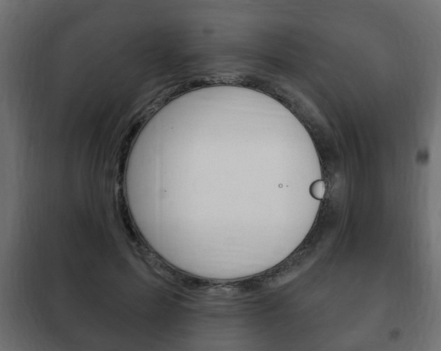 X0000102460599200808080946