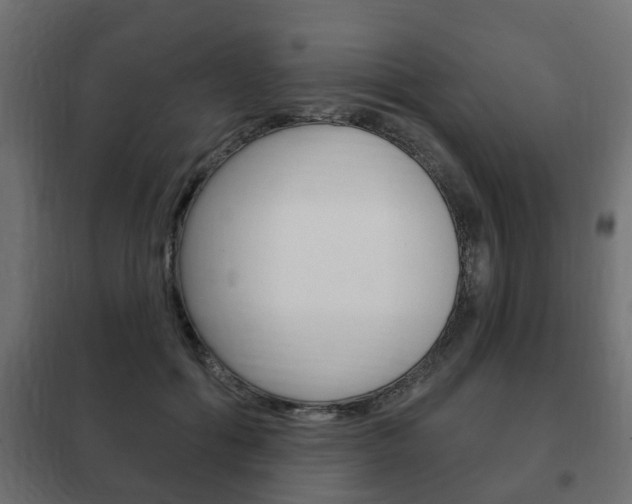 X0000102460602200808080946