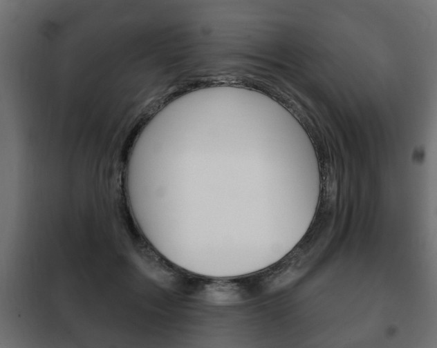 X0000102460603200808080946
