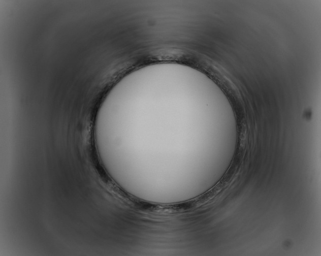 X0000102460604200808080946