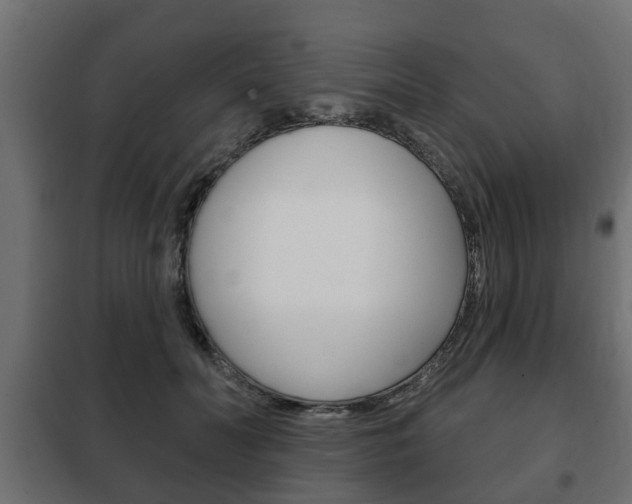 X0000102460606200808080946