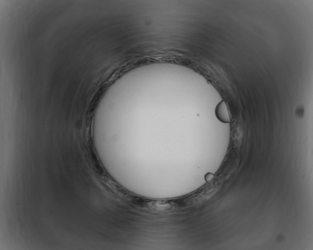 X0000102460607200808080946