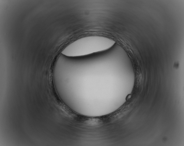 X0000102460609200808080946