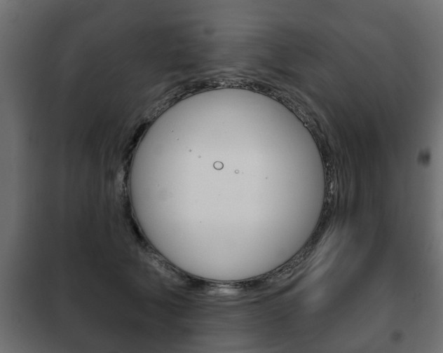 X0000102460610200808080946
