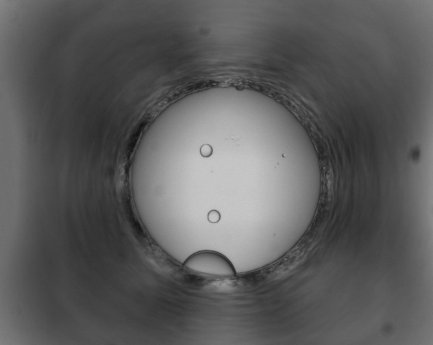 X0000102460611200808080946