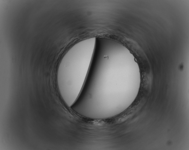 X0000102460612200808080946