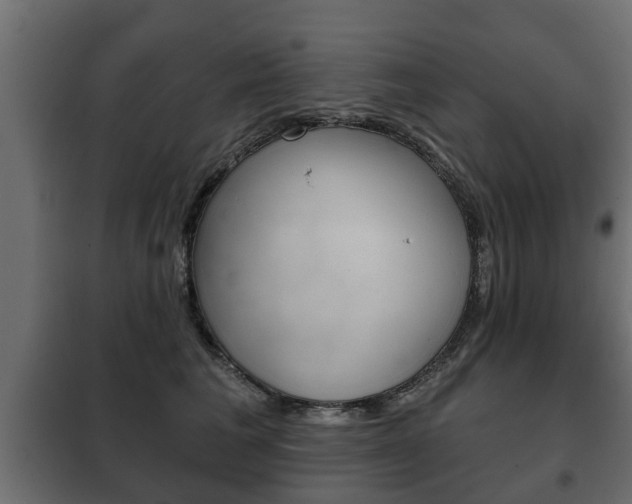 X0000102460613200808080946