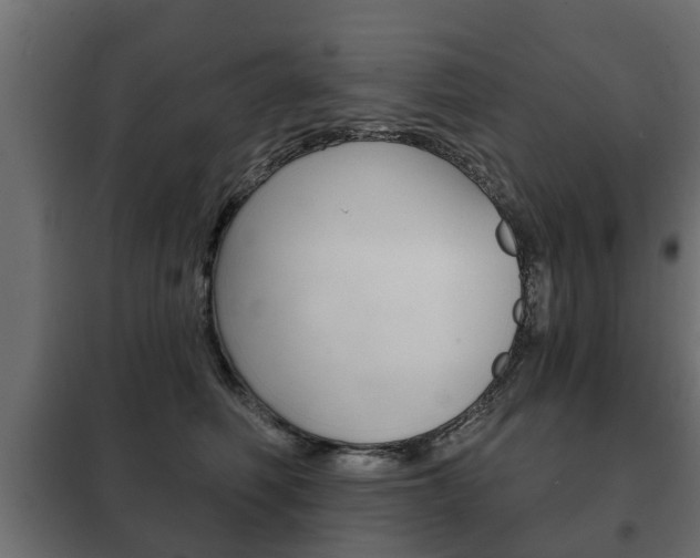 X0000102460614200808080946