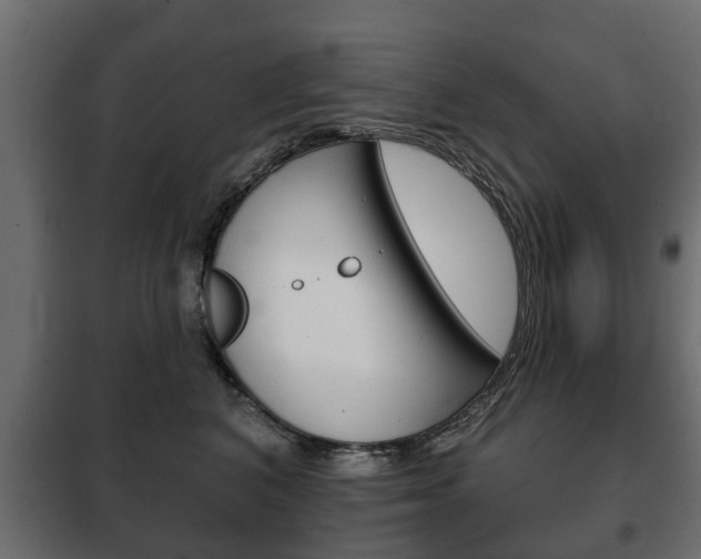 X0000102460616200808080946